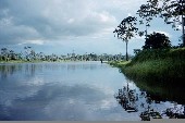 Amazon-tributary-river ZA PODLAGO427
